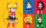 sailor-moon-r-notepads_28129.jpeg