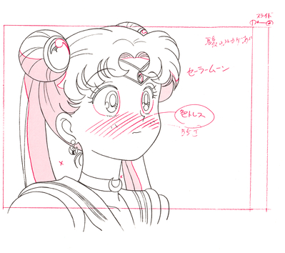 Sailor Moon
Sailor Moon
Douga Book
By MOVIC
