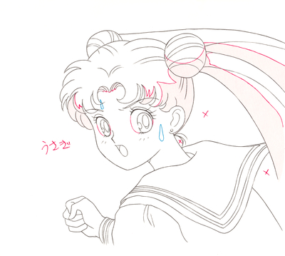 Tsukino Usagi
Sailor Moon
Douga Book
By MOVIC
