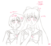 sailor-moon-official-douga-book-14.jpg