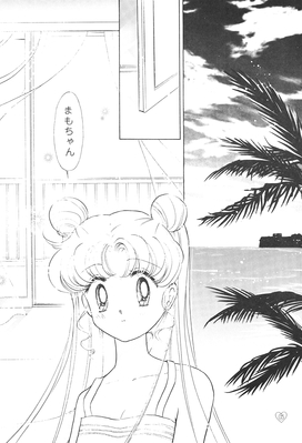 Tsukino Usagi
By Ohmori Madoka
December 2000
