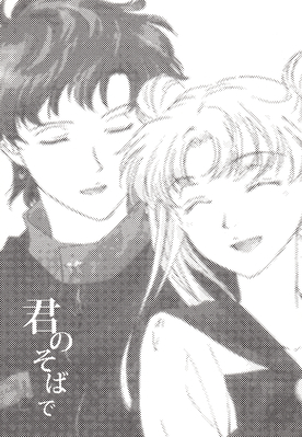 Tsukino Usagi, Seiya Kou
By Mayu
Published: November 2008
