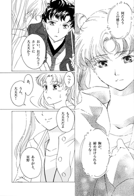 Tsukino Usagi, Seiya Kou
By Mayu
Published: November 2008
