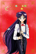 sailormoon-classic-concert-postcards-04.jpg