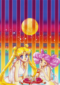 sera-myu-kaguya-hime-usagi-chibi-usa-clearfile-01b.jpg