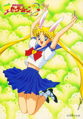 Tsukino Usagi
No. 6
