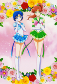 sailor-moon-cosmos-hana-biyori-postcard-02.jpg