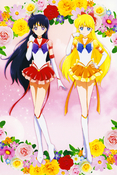 sailor-moon-cosmos-hana-biyori-postcard-03.jpg