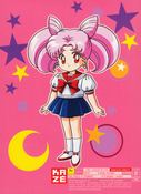 sailor-moon-r-french-dvd-boxset-06.jpg