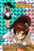 sailor-moon-pp2-05.jpg