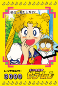 sailor-moon-pp2-19.jpg