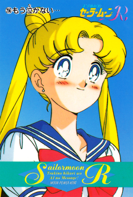 Tsukino Usagi
No. 256
