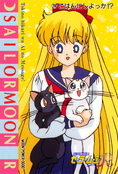 sailor-moon-pp6-34.jpg